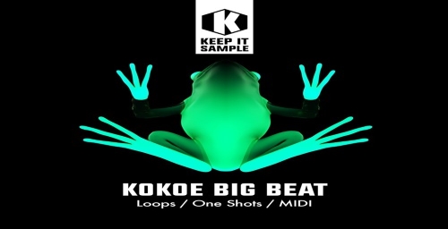 【Techno Bass风格采样包】Kokoe Big Beat
