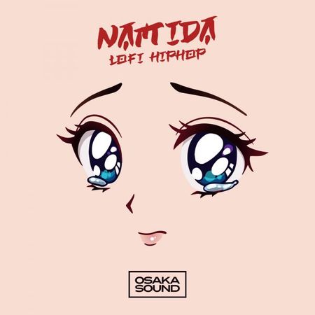 【嘻哈风格采样包】Namida-Lofi HipHop