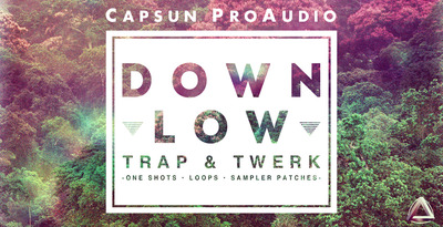 【 Trap 风格采样包】CAPSUN ProAudio-Down Low Trap and Twerk