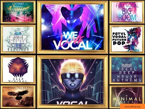 【Big Room/House多风格采样包】Mainroom Warehouse采样包合集 2020