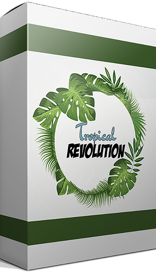 【Tropical Pop/Tropical House风格采样包+工程】Tropical Revolution
