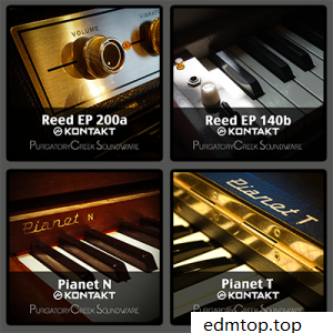 【电钢琴KONTAKT扩展芦苇系列集合】PCS Reed Collection