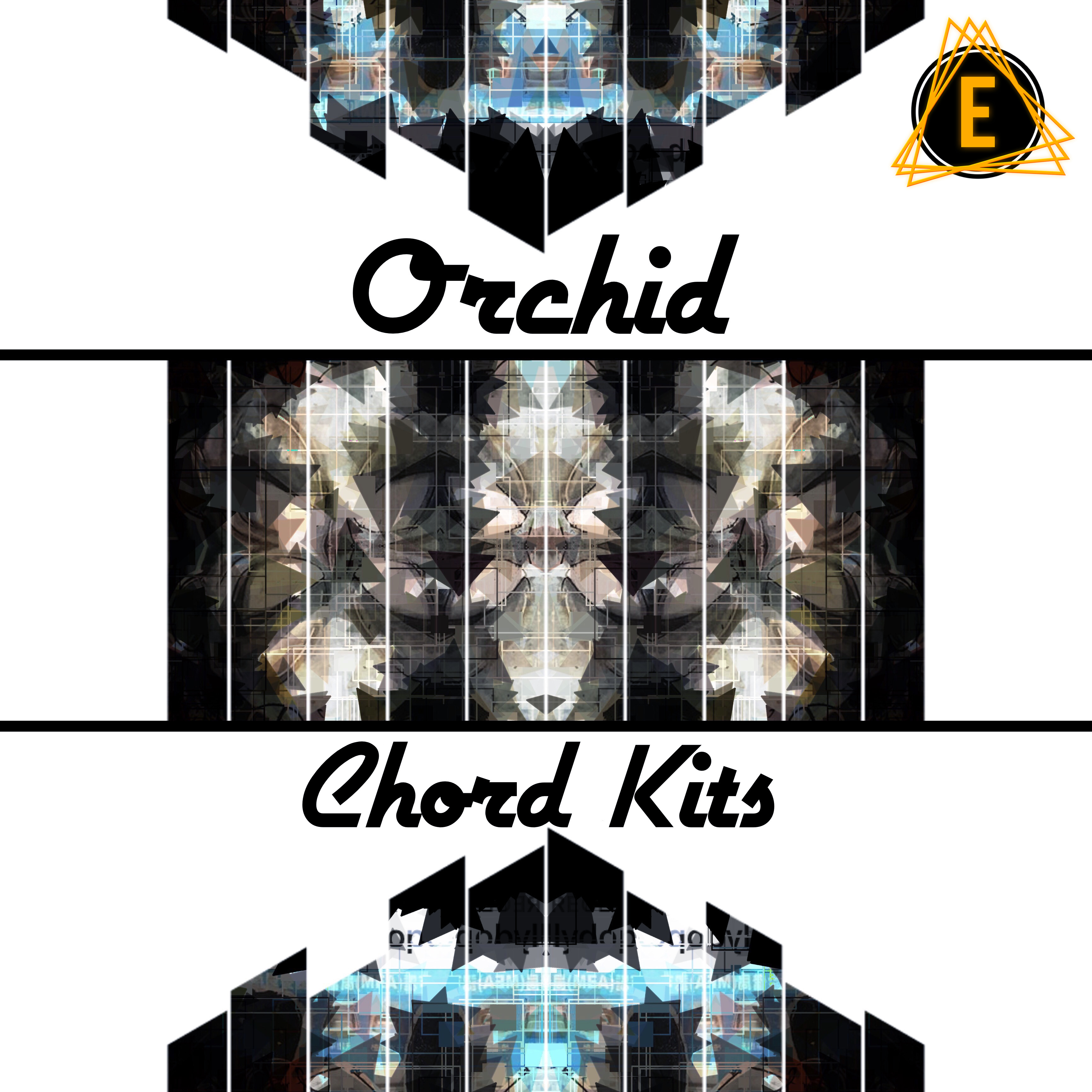 【EDM多风格和弦套件包】Electronisounds – Orchid Chord Kits