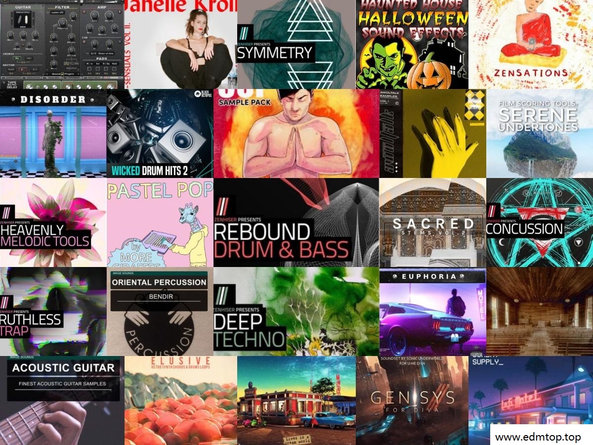 【EDM多风格采样包合集2020】采样包袋装Vol 13
