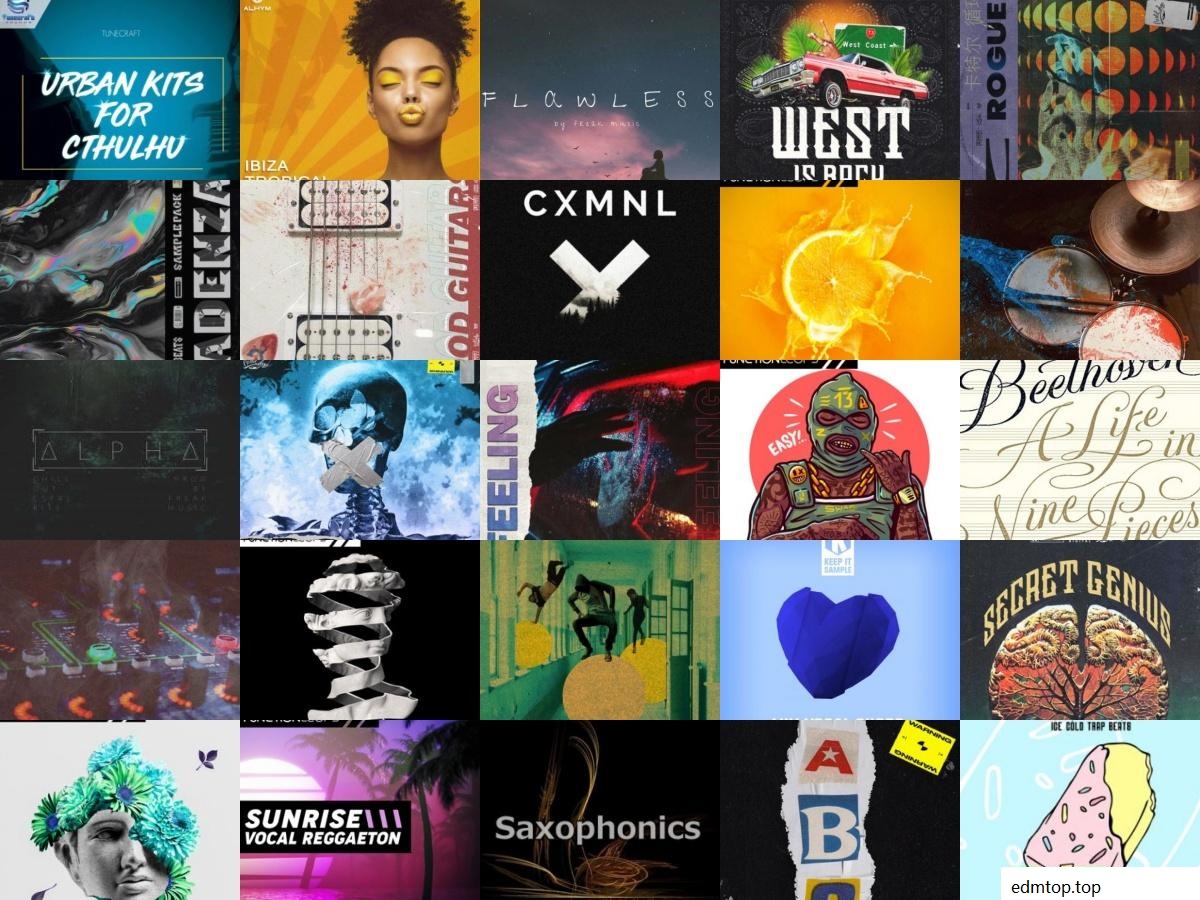 【EDM多风格采样包合集2020】采样包袋装 Vol 14