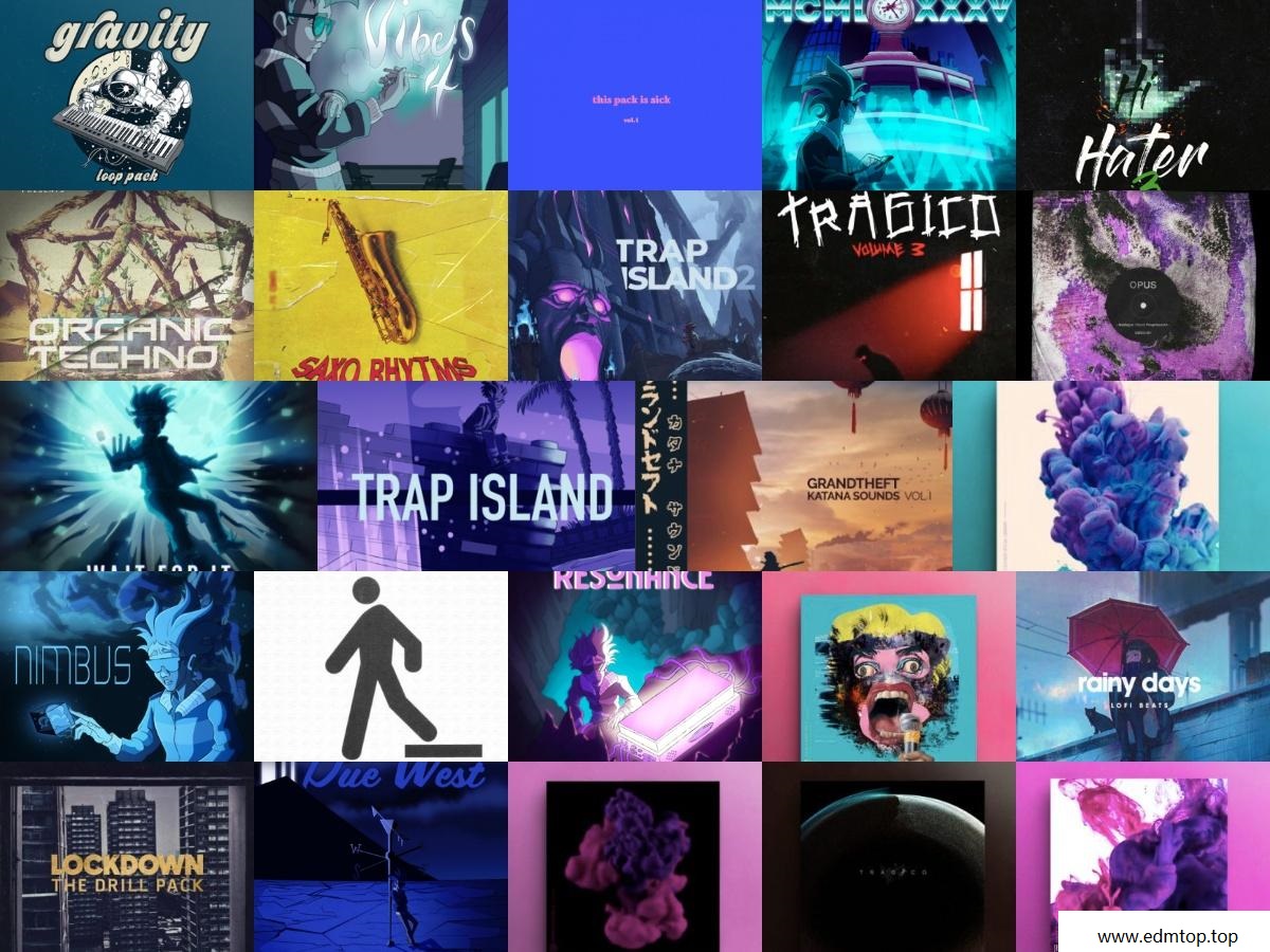 【EDM多风格采样包合集2020.11.12】采样包袋装 Vol 18