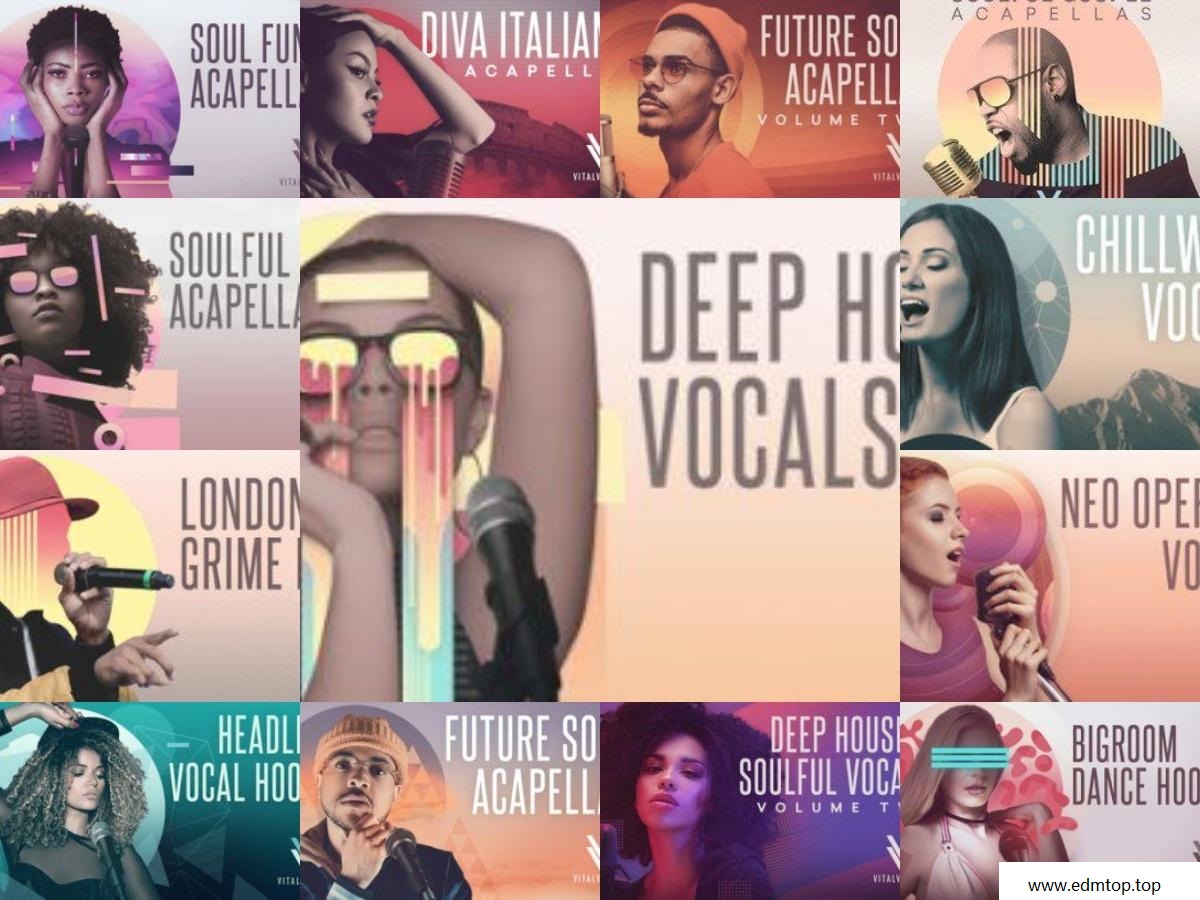 【人声采样包套装合集2020】袋装Vital Vocals Sample 2020