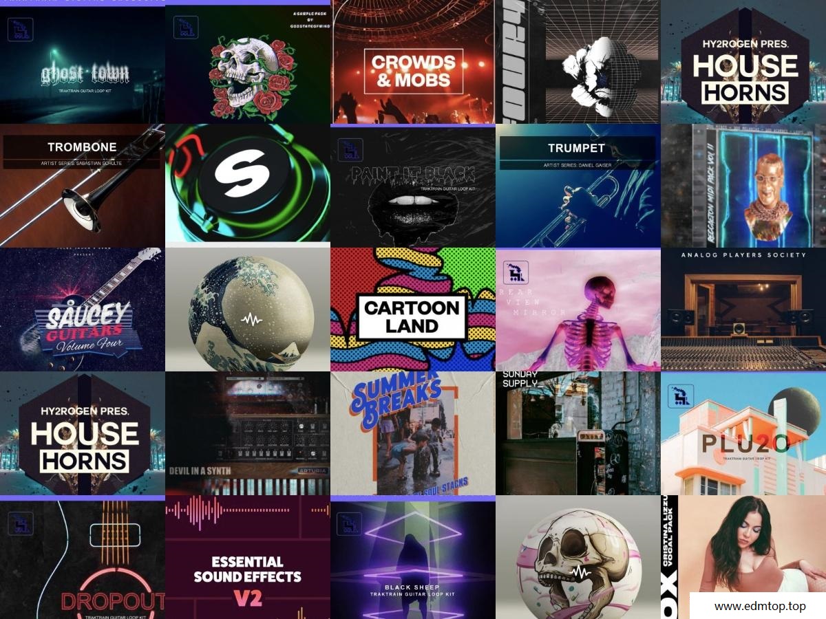 【EDM多风格采样包合集2020】采样包合集Vol 19