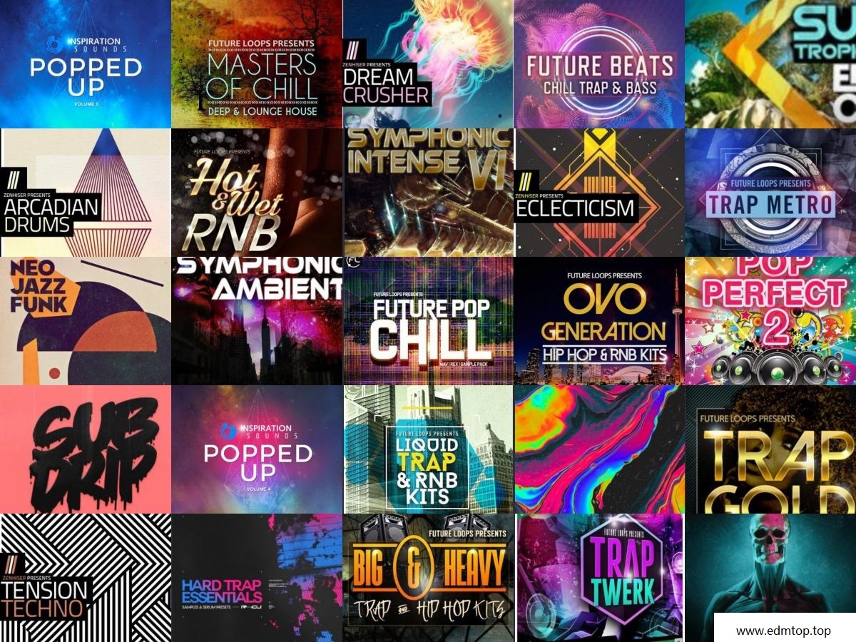 【House/Trap/EDM多风格采样包合集2020】采样包袋装 Vol 22