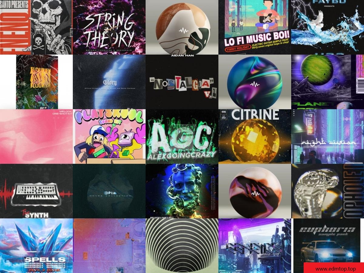 【EDM多风格采样包合集2020】采样包袋装