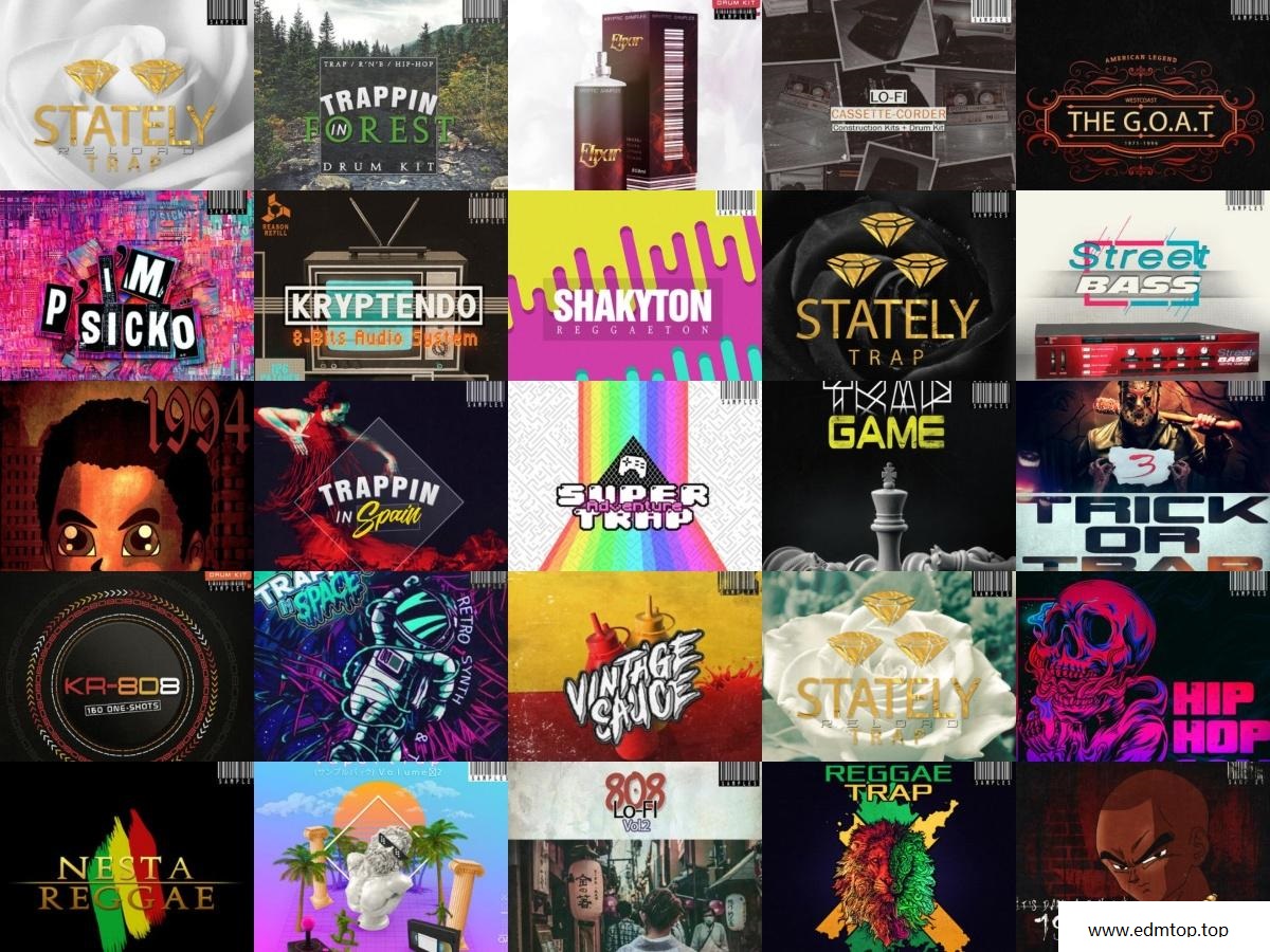 【EDM多风格采样包套装合集2020】Kryptic Sample Bundle