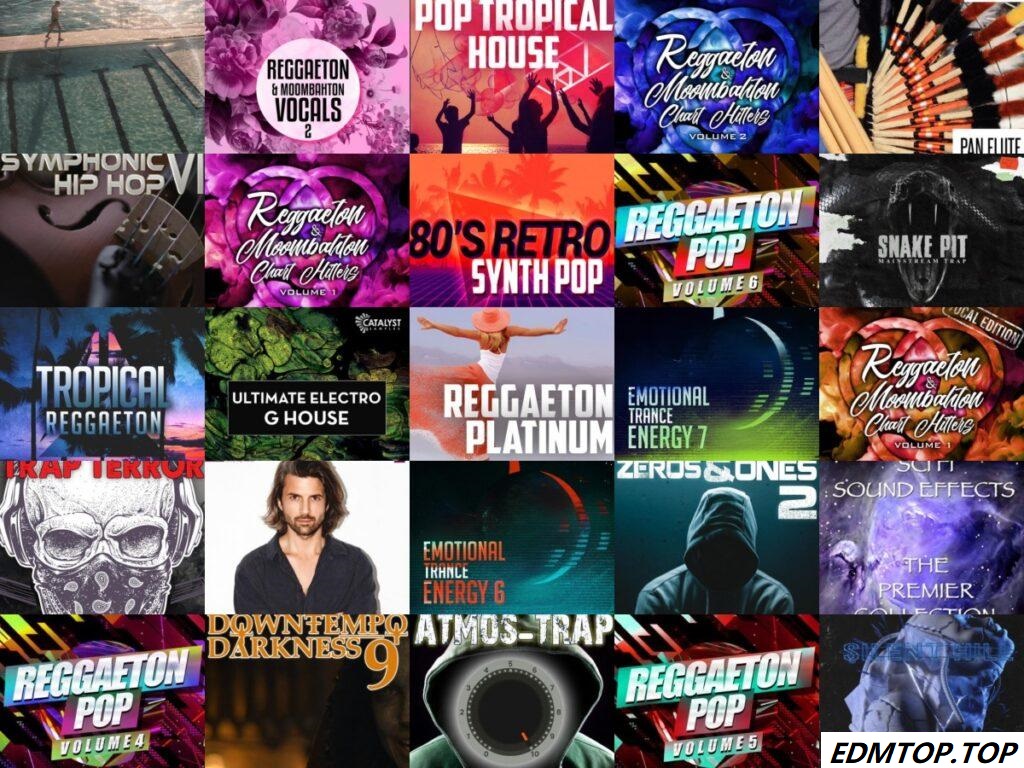 【EDM多风格采样包合集2020】采样包袋装Vol 26