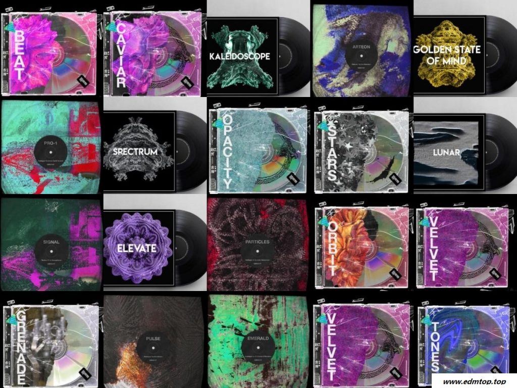 【Engineering厂牌采样包合集2021】Engineering Samples Bundle 2021