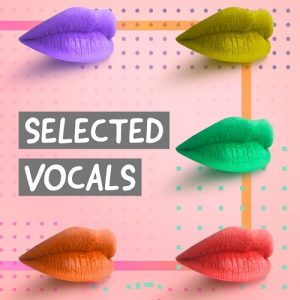 【精选人声采样包】Selected Vocals Sample Pack