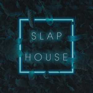 【Slap House风格采样包】Sample Tools By Cr2 – Slap House