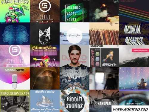 【EDM多风格采样包合集2021】SAMPLE PACK BUNDLE (FEB 2021)