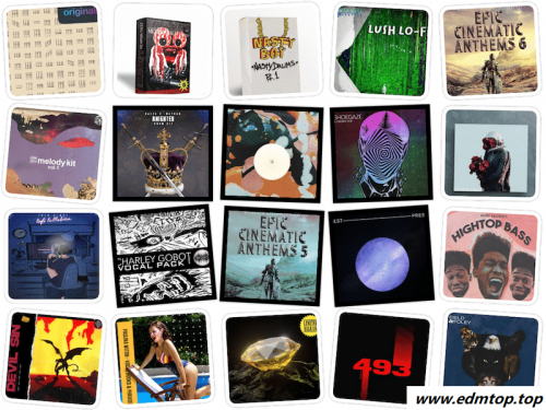 【EDM多风格采样包合集】SAMPLE PACK BUNDLE VOL-80