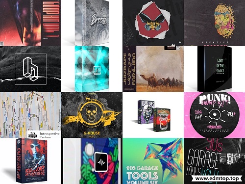 【EDM多风格采样包合集2021.5.14】SAMPLE PACK BUNDLE (MAY 2021) VOL 5