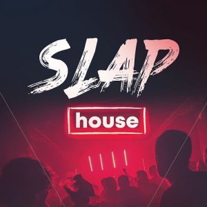 【Slap House风格采样包】Big Sounds – Slap House (Sample Pack & Serum Presets)