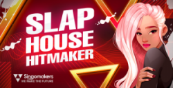 【Slap House风格采样包】Singomakers – Slap House Hitmaker 【Slap House风格采样包】Singomakers – Slap House Hitmaker