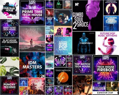 【Tech House&Future Rave多风格采样包合集2021.12.18】Mainroom Warehouse Sample Collection