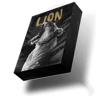 【Progressive House风格采样包】Savage Sounds – Lion Progressive House Sample Pack