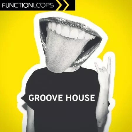 【Groove House风格采样包】Function Loops – Groove House