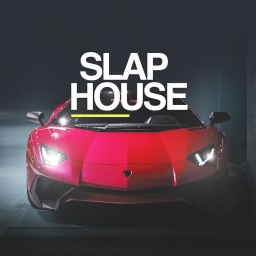 【Slap House风格采样包】Whitenoise Records Slap House