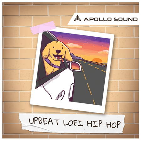 【LoFi&Hip-Hop风格采样包】Apollo Sound Upbeat LoFi Hip-Hop
